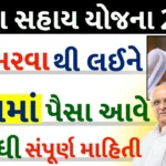 Gujarat Vidhava Sahay Yojana